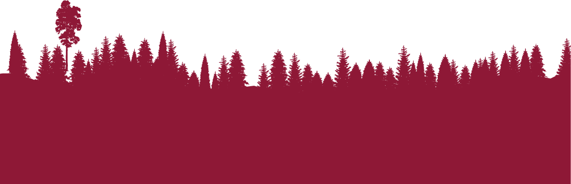 Parallax Image
